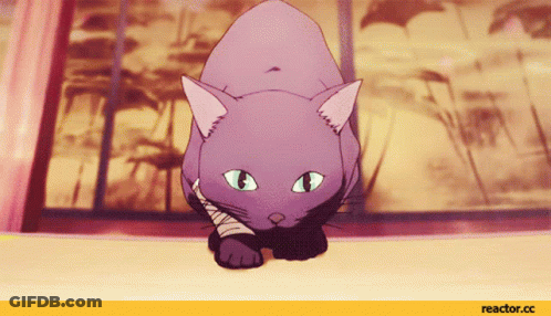 A Purple Cat With A Bandage Around Its Neck Is Walking On A Wooden Floor GIF
