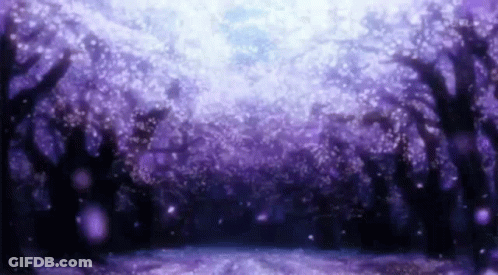 A Purple Cherry Blossom Forest With Flowers Falling From The Trees . GIF