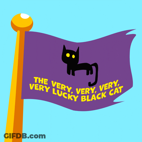 A Purple Flag With A Black Cat And The Words " The Very Lucky Black Cat " On It GIF