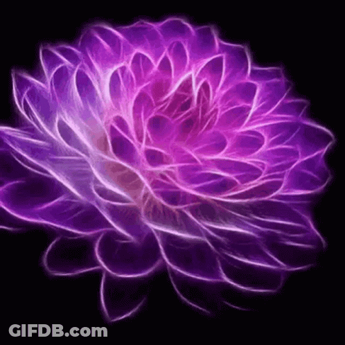 A Purple Flower Is Glowing On A Black Background . GIF