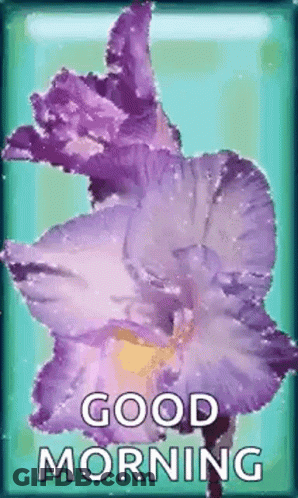 A Purple Flower Is On A Blue Background With The Words `` Good Morning '' . GIF