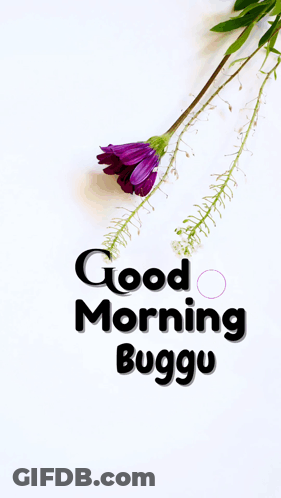 A Purple Flower Is On A White Background With The Words " Good Morning Buggu " GIF