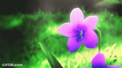 A Purple Flower Is Surrounded By Greenery And Leaves GIF