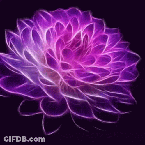 A Purple Flower With A Black Background And A Purple Center GIF