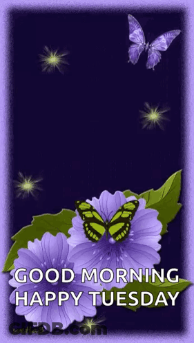 A Purple Flower With A Butterfly On It And The Words Good Morning Happy Tuesday GIF