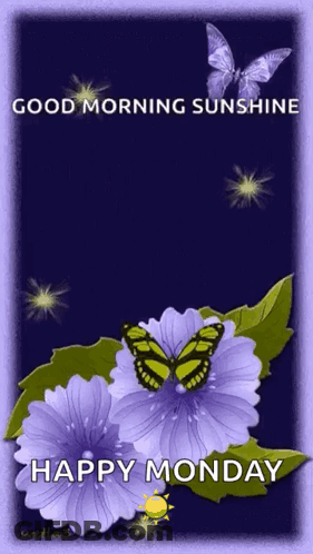 A Purple Flower With A Butterfly On It And The Words `` Good Morning Sunshine Happy Monday '' . GIF