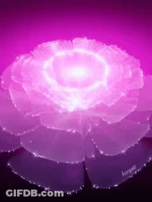 A Purple Flower With A Light Coming Out Of It GIF