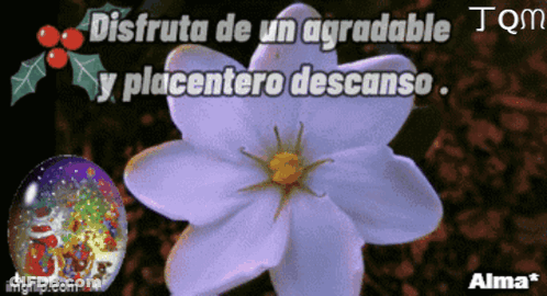 A Purple Flower With The Words Disfruta De Un Agradable Y Placentero Descanso GIF