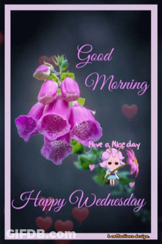 A Purple Flower With The Words Good Morning And Happy Wednesday On It GIF