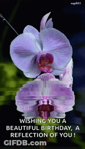 A Purple Flower With The Words Wishing You A Beautiful Birthday A Reflection Of You On It GIF