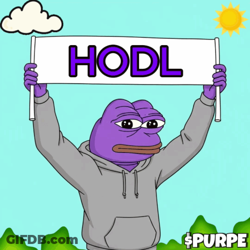 A Purple Frog In A Grey Hoodie Holds Up A Sign That Says Hodl GIF