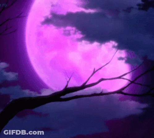 A Purple Full Moon Behind A Tree Branch GIF