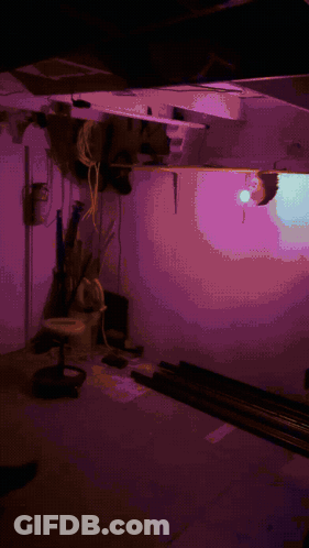 A Purple Room With A Purple Light On The Wall GIF