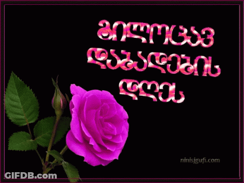 A Purple Rose Is In Front Of A Fireworks Display With The Website Ninisigufi.com Written Below It GIF
