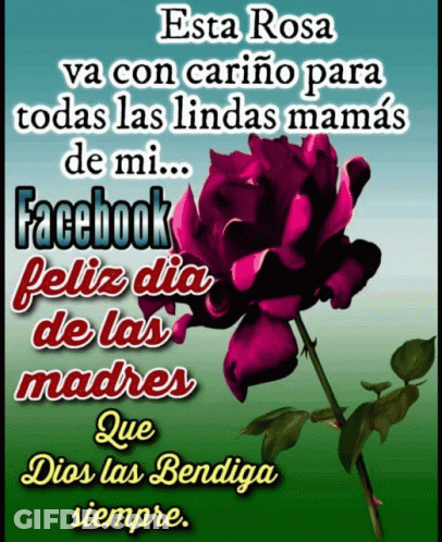 A Purple Rose Is On A Green Background With The Words Esta Rosa Va Con Cariño Para Todas Las Lindas Mamas De Mi GIF