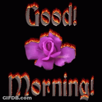 A Purple Rose Is Surrounded By Flames And The Words Good Morning GIF