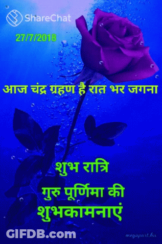 A Purple Rose On A Blue Background With The Date 27/7/2018 On It GIF
