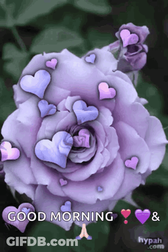 A Purple Rose With Hearts Around It And The Words Good Morning And A GIF