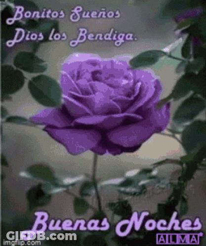 A Purple Rose With The Words " Bonitos Suenos Dios Los Bendiga " On The Bottom GIF