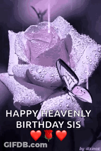 A Purple Rose With Water Drops On It And A Butterfly On It GIF