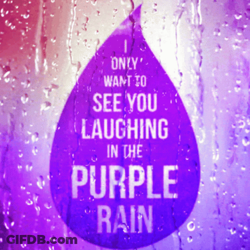 A Purple Sign That Says ' Only Want To See You Laughing In The Purple Rain ' GIF