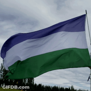 A Purple White And Green Flag Flies In The Wind GIF
