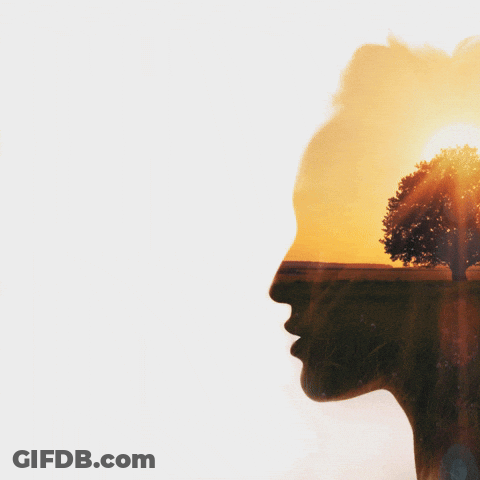 A Quote About A Single Idea Can Transform A World GIF