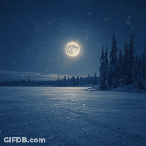 A Quote From The Bible Says " And God Said Let There Be Lights In The Firmament Of The Heaven To Divide The Day From The GIF