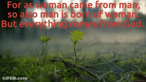 A Quote That Says " For As Woman Came From Man So Also Man Is Born Of Woman " GIF