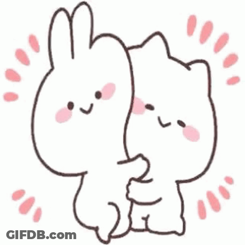 A Rabbit And A Cat Hugging Each Other . GIF