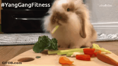 A Rabbit Eating Broccoli And Carrots On A Cutting Board With #Yanggangfitness Written Above It GIF