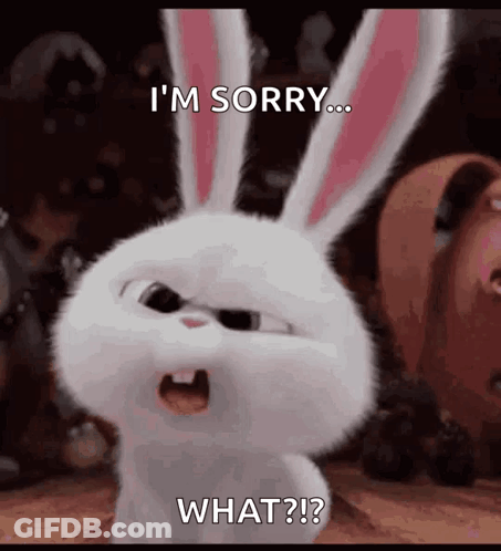 A Rabbit From The Secret Life Of Pets Is Angry And Says `` I 'M Sorry ... What ? '' GIF