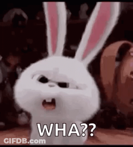 A Rabbit From The Secret Life Of Pets Is Making A Funny Face And Saying `` Wha ? '' . GIF