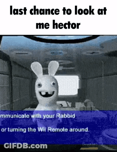 A Rabbit In A Video Game With The Words Last Chance To Look At Me Hector GIF