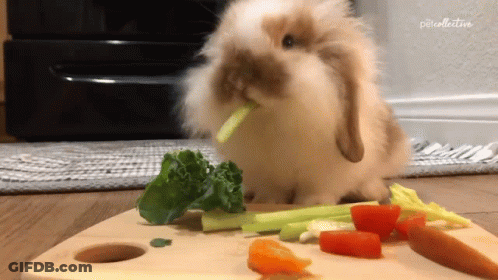 A Rabbit Is Eating Carrots And Kale On A Cutting Board .. GIF