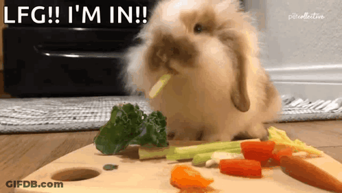 A Rabbit Is Eating Vegetables On A Cutting Board With The Words Lfg ! I 'M In Behind It GIF