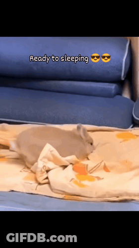 A Rabbit Is Laying On A Bed With The Words " Ready To Sleeping " Written Above It GIF