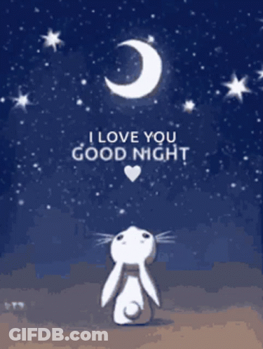 A Rabbit Is Looking Up At The Moon With The Words `` I Love You Good Night '' Written Below It . GIF
