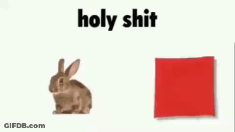 A Rabbit Is Sitting Next To A Red Square And Says `` Holy Shit '' . GIF
