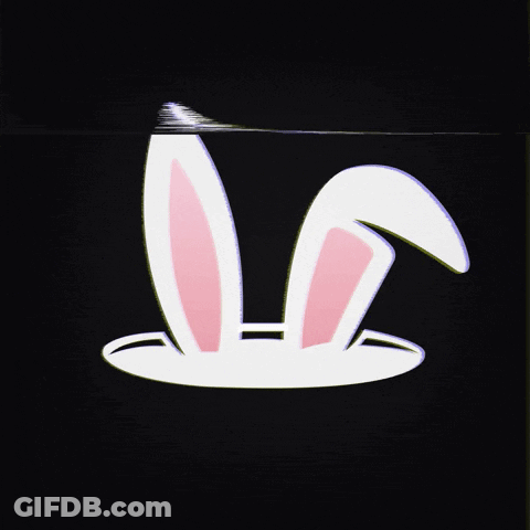 A Rabbit 'S Ears Are Visible On A Black Screen GIF