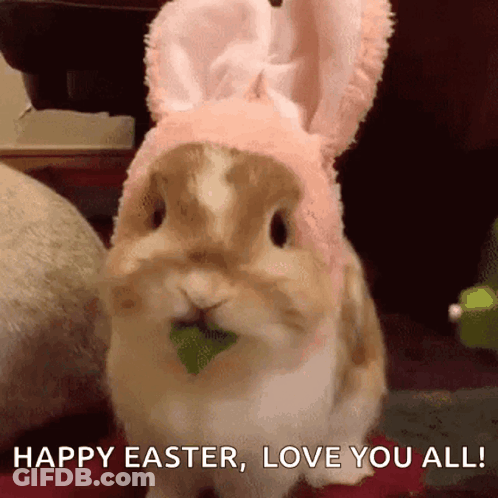 A Rabbit Wearing Bunny Ears Is Eating A Green Leaf GIF