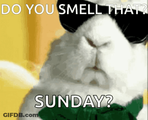A Rabbit Wearing Sunglasses And A Green Bow Tie Is Asking If You Smell That Sunday GIF
