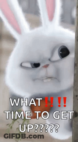 A Rabbit With A Carrot In Its Mouth And The Words What Time To Get Up GIF
