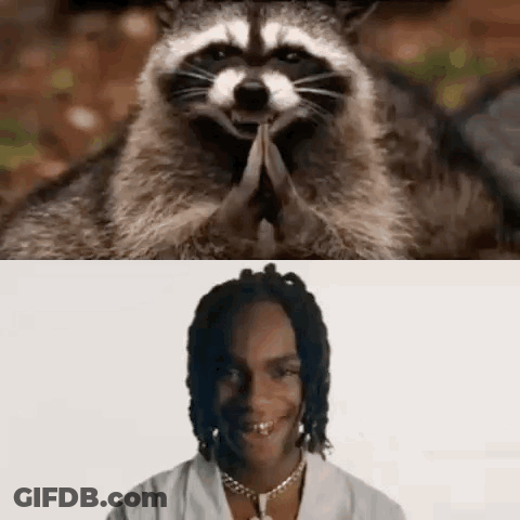 A Raccoon And A Man Are Sitting Next To Each Other . The Raccoon Is Praying And The Man Is Smiling . GIF