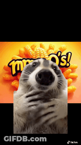 A Raccoon Is Covering Its Face In Front Of A Mr. O 'S Sign GIF