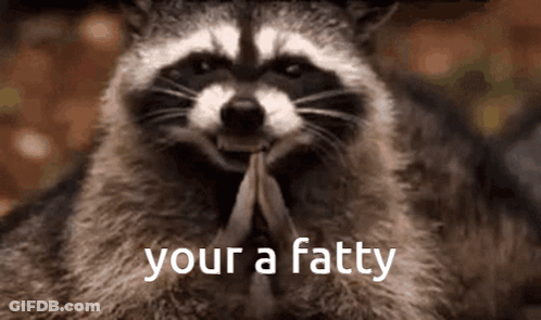 A Raccoon Is Holding A Feather In Its Mouth And Says " Your A Fatty " GIF