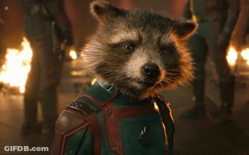 A Raccoon Is Holding A Gun With The Word Rocket On It GIF