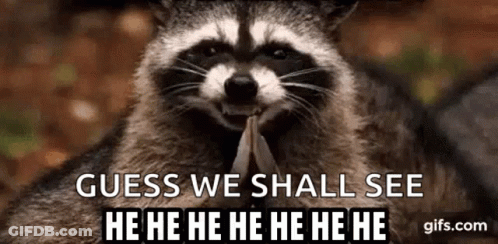 A Raccoon Is Holding A Piece Of Paper In Its Mouth And Laughing . GIF