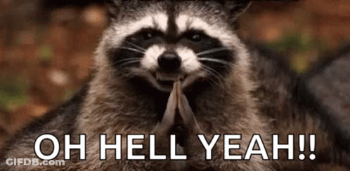 A Raccoon Is Holding A Piece Of Wood In Its Paws And Saying `` Oh Hell Yeah '' . GIF