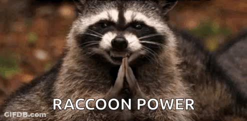 A Raccoon Is Holding A Piece Of Wood In Its Paws . GIF